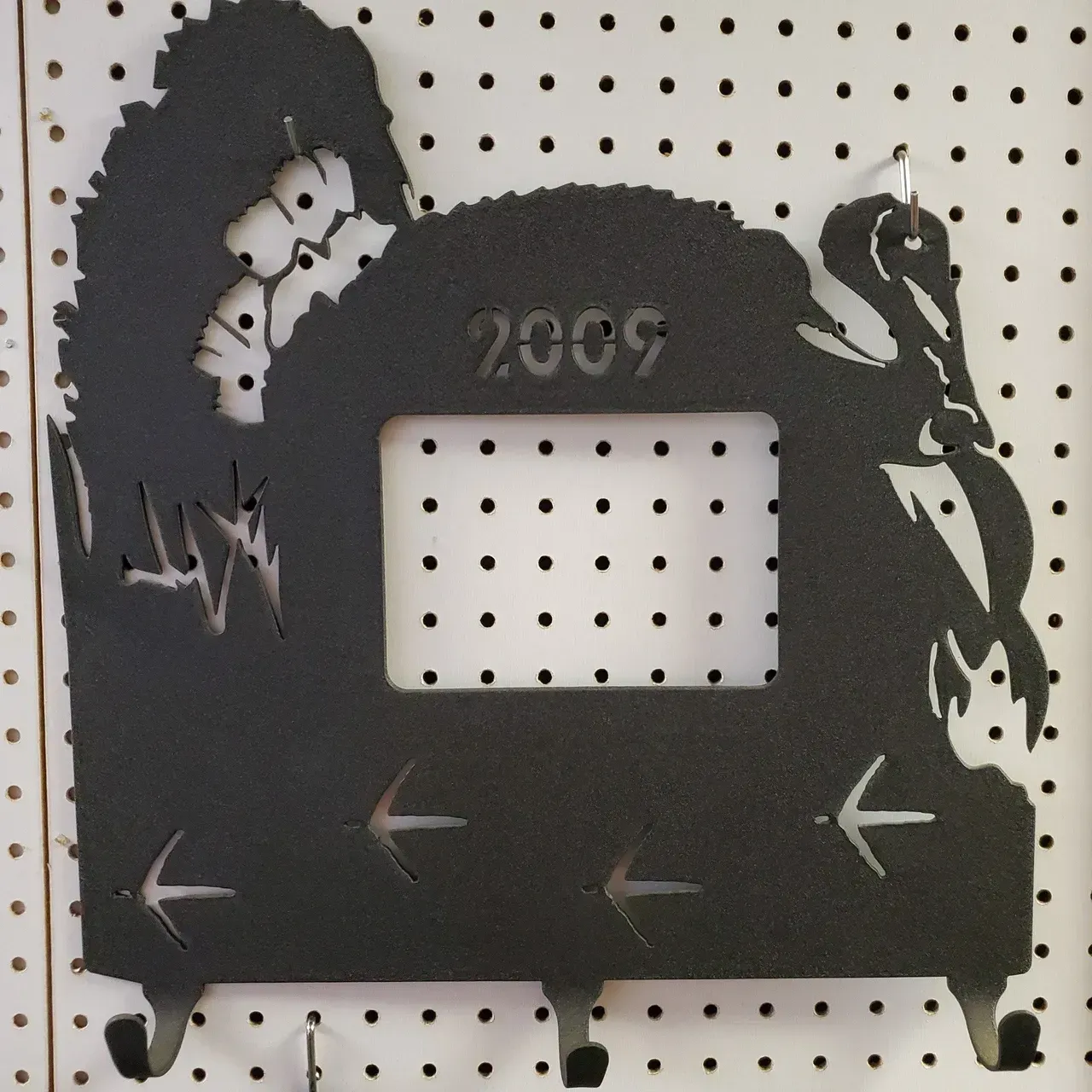 Turkey 2009 Plasma Art — Wisconsin Rapids, WI — BDT INC