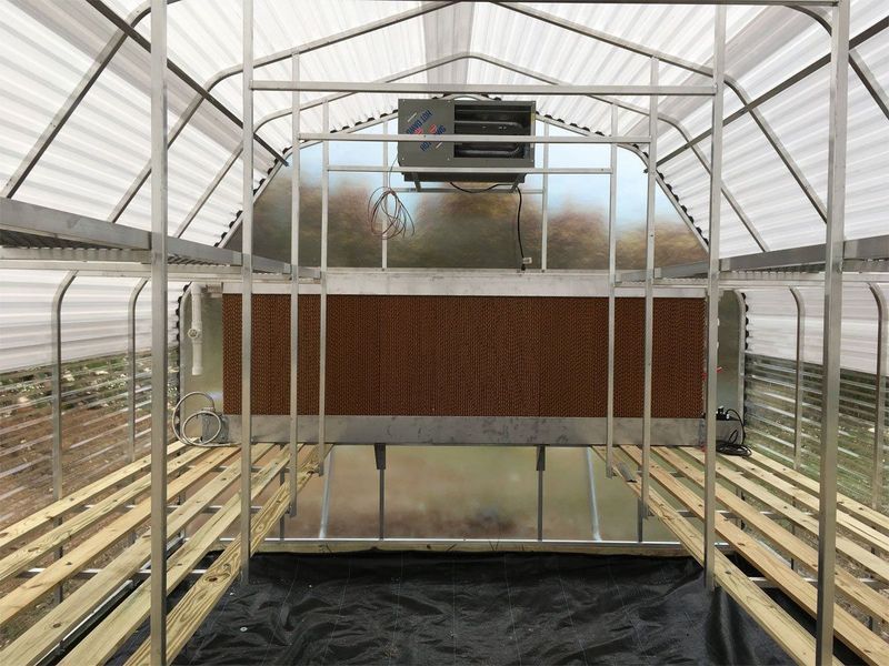 The inside of a greenhouse with a wooden floor.