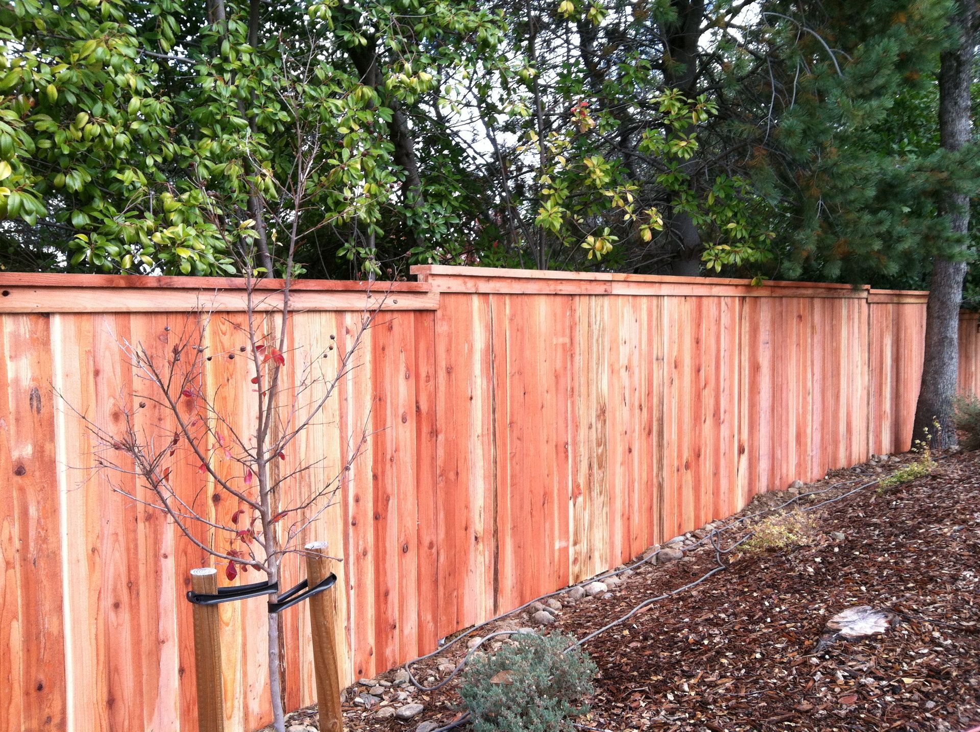 Fence Photos Elk Grove, CA