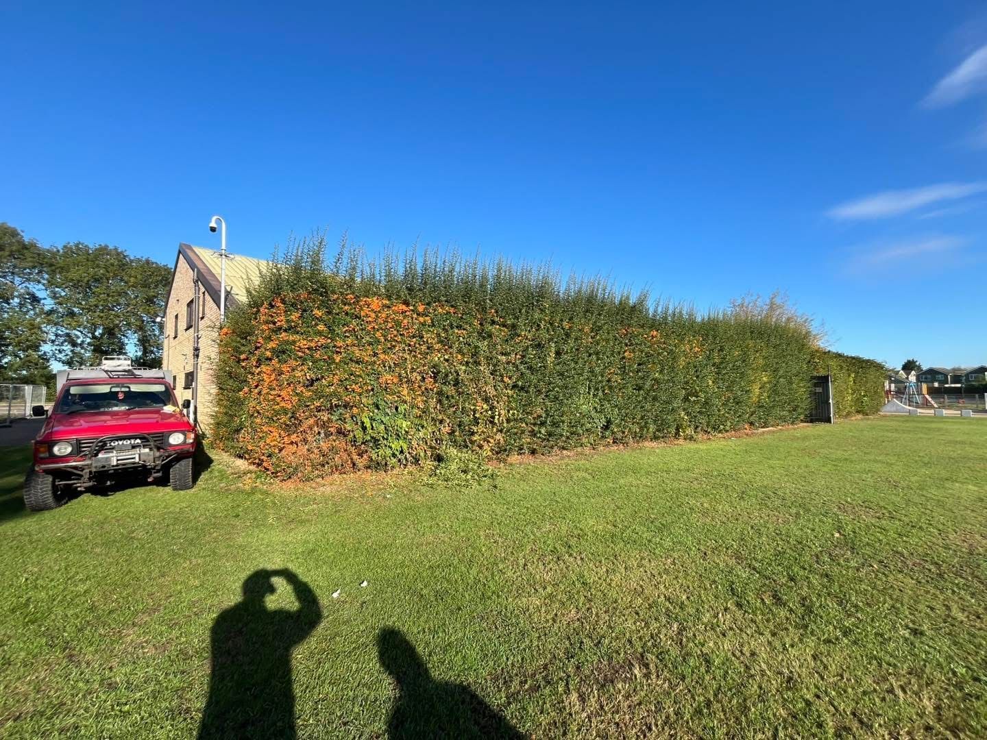 Red SUV parked beside a tall hedge and house on a sunny grassy field under a blue sky.