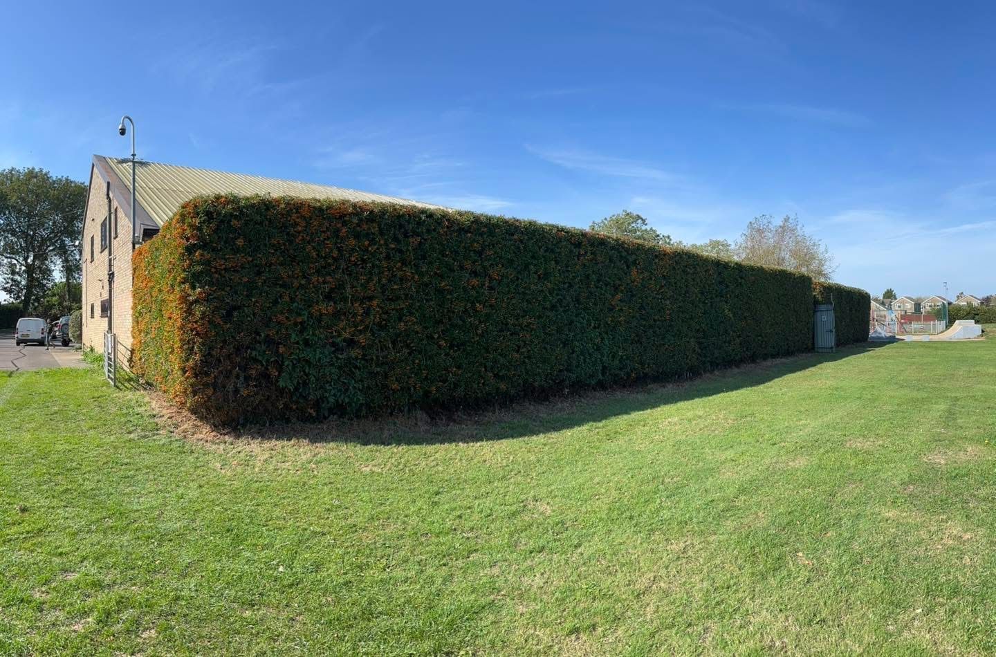Red truck parked beside a tall hedge and house on a sunny grassy lot