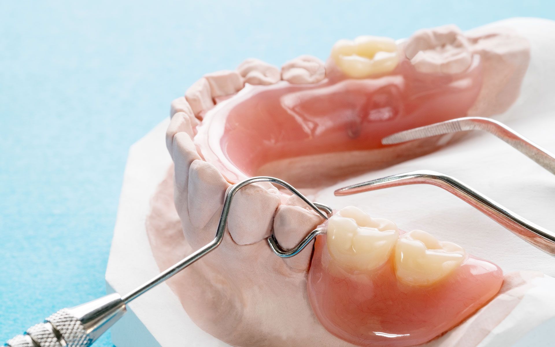Dentures on a model with dental tools; pink gums, white teeth, close-up on a blue surface.