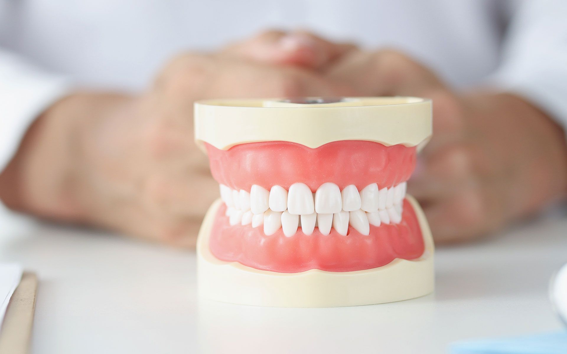 Dental model of teeth on a table with hands of a medical professional in the background.