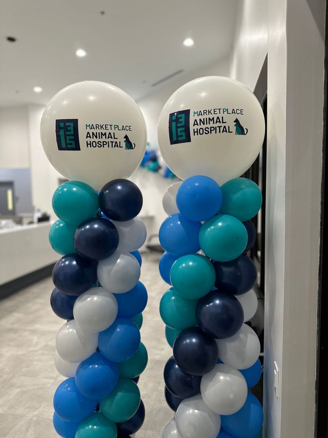 Grand Opening Decorations: Elevate Your Event with Balloons