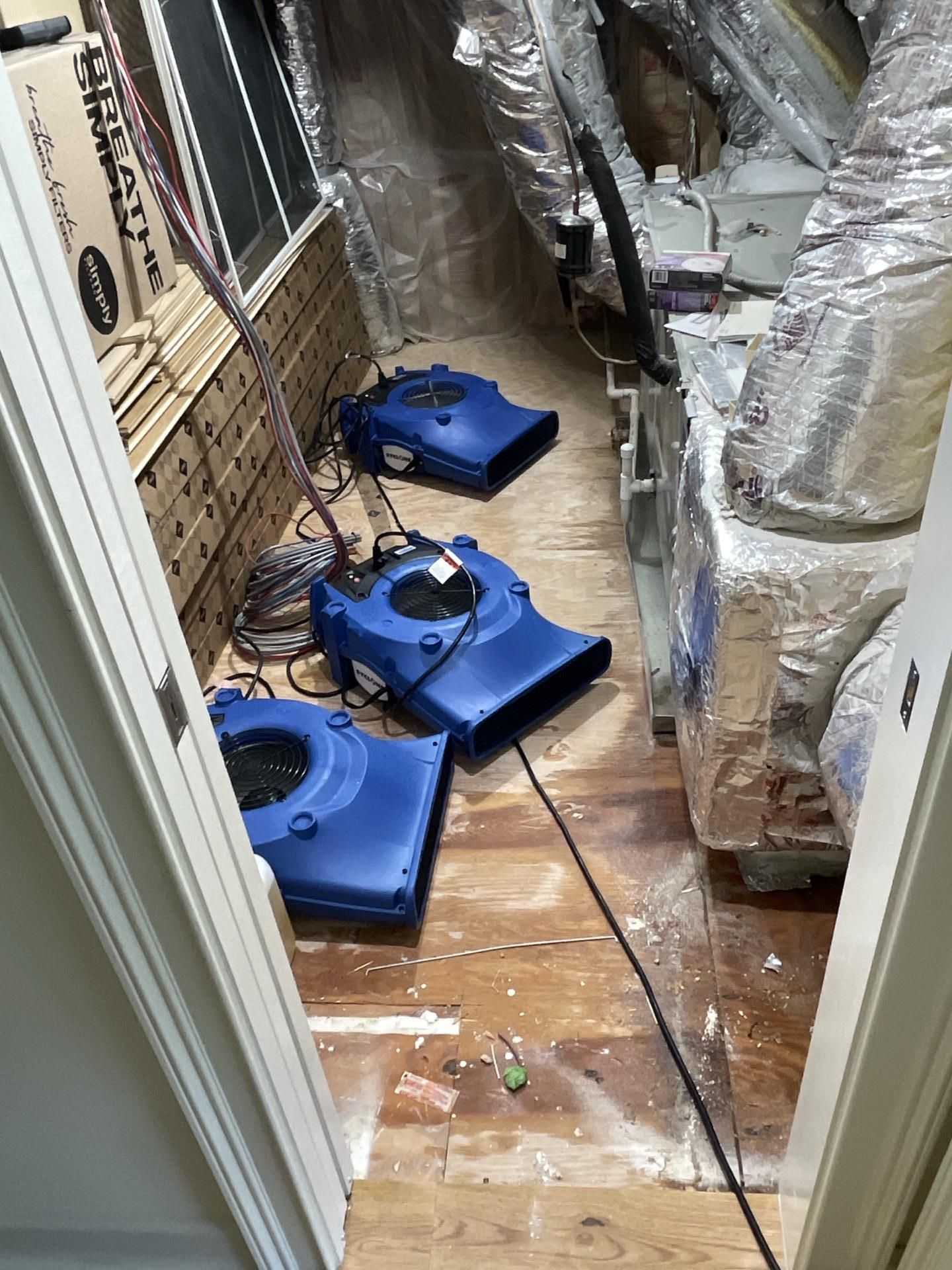 Blue industrial air movers drying subfloor and insulation in a residential attic space after water d