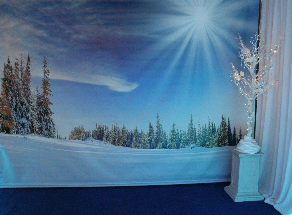 Winter wonderland backdrop