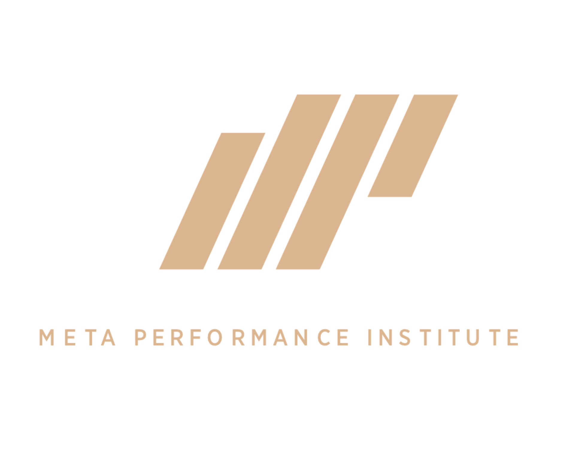 Meta Performance Institute Icon