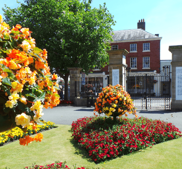 Oswestry Park garden with flowers and a shops in the background