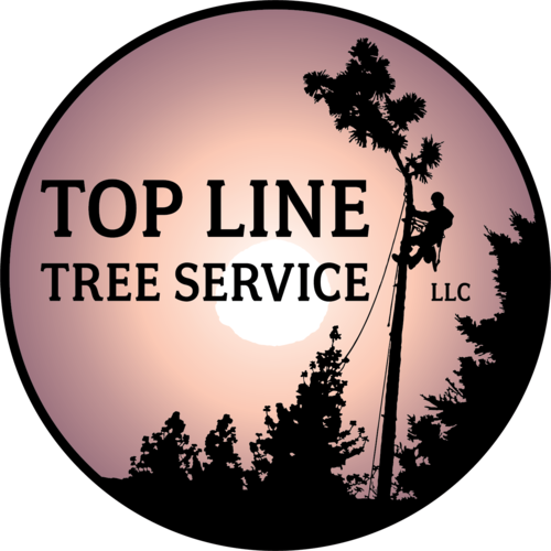 A logo for top line tree service llc with a man climbing a tree