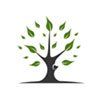 Harris Tree Care Ltd