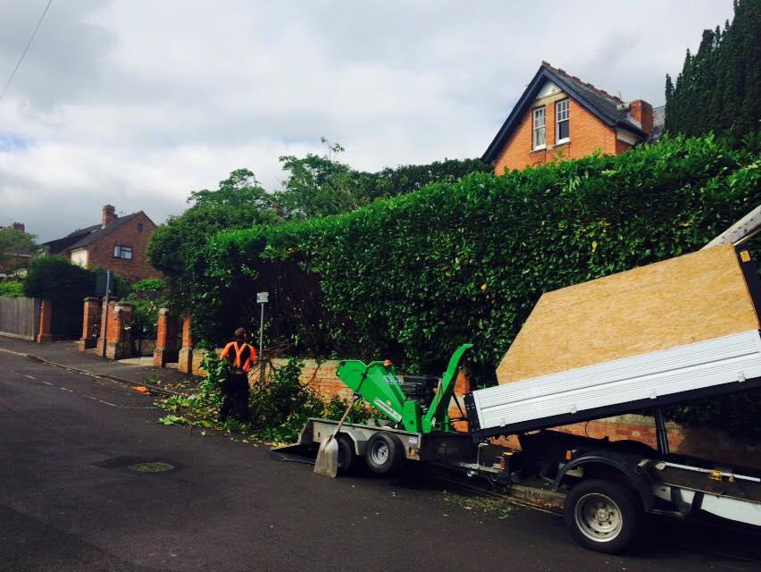 Harris Tree Care Ltd 9