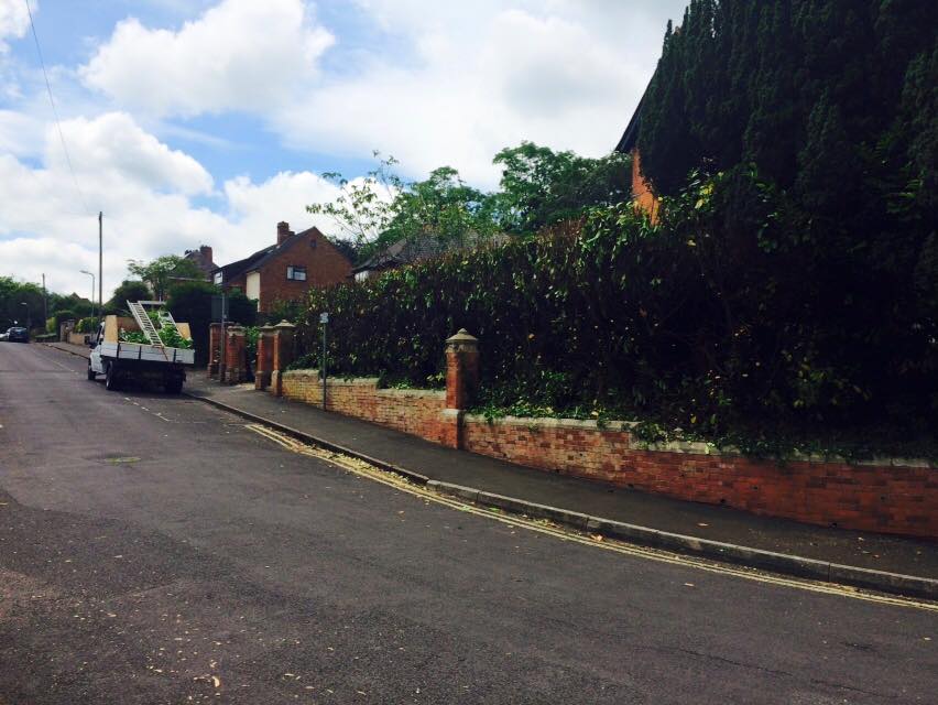 Harris Tree Care Ltd 7