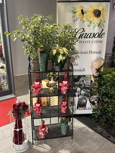 uno scaffale pieno di fiori e piante