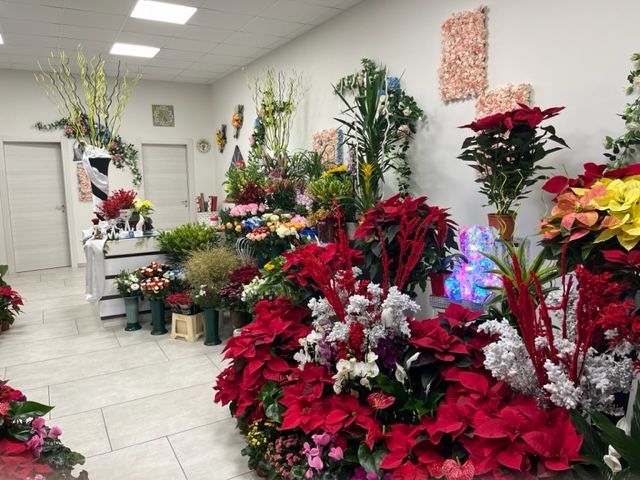 fiori e piante in un negozio