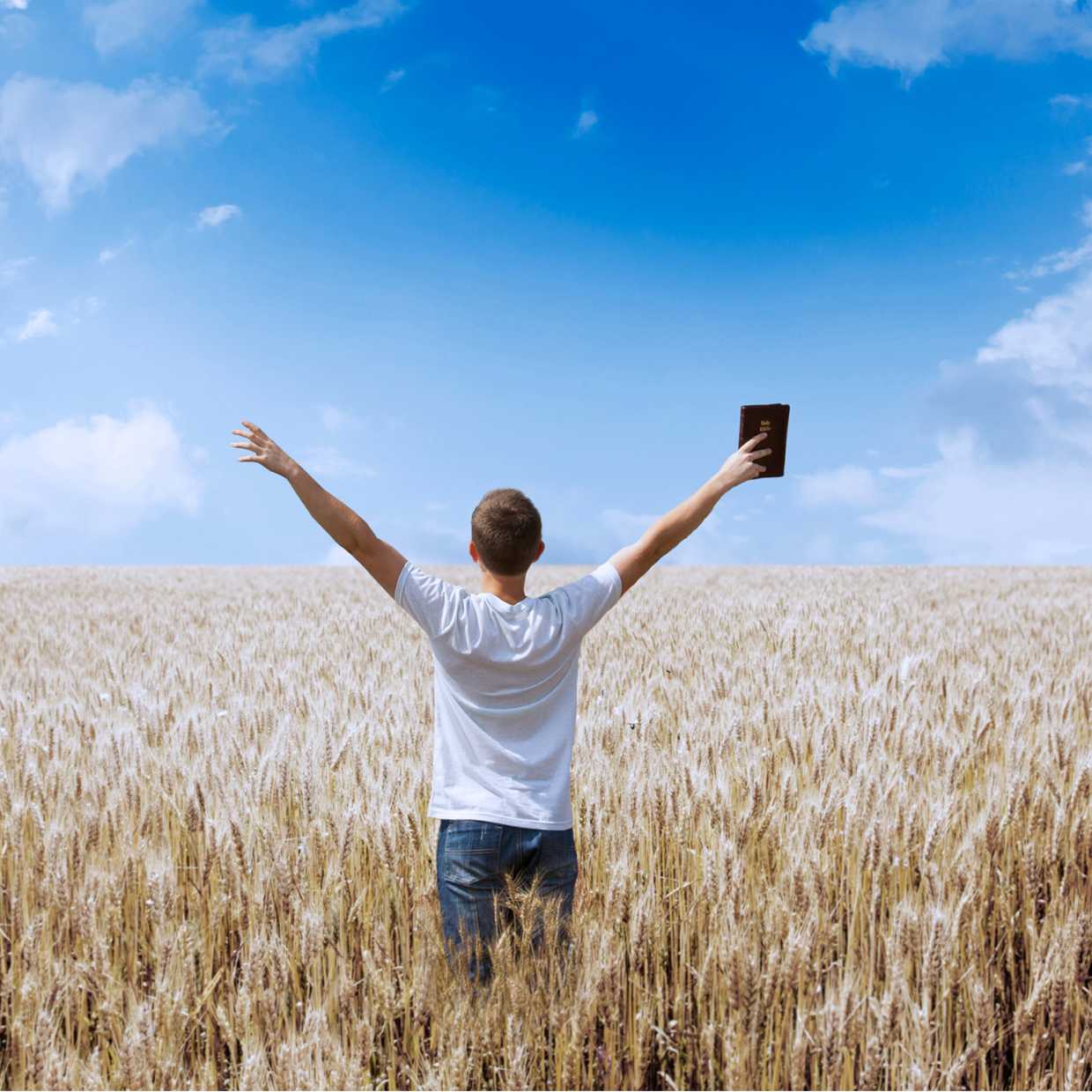 Welcoming Lay Preachers to the Pulpit.IImage of a joyous lay preacher in a field with hands skyward.