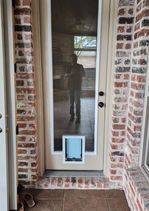 Tan door with built-in pet door, set between brick columns. Person reflected in glass.