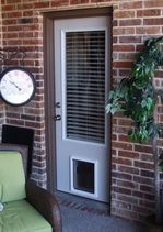 White door with integrated pet door, blinds, and brick wall. Clock and green chair are visible.