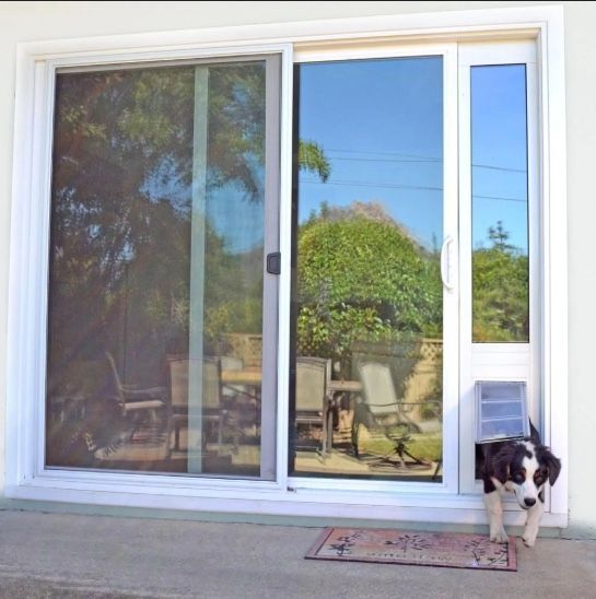 Dog exiting a sliding glass door with a built-in pet door. The door reflects a backyard with furniture.