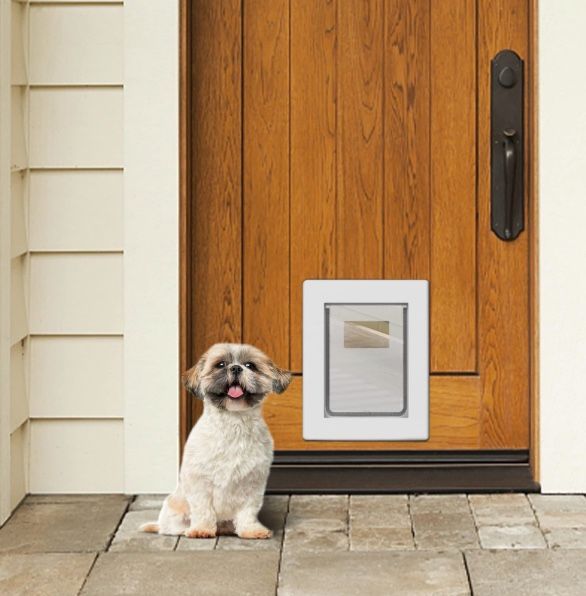 A dog sits by a door with a pet door. The door is wooden with a black handle.