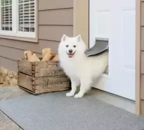 Fluffy white dog exiting doggy door in a white door, smiling on a porch. A wooden crate holds firewood.