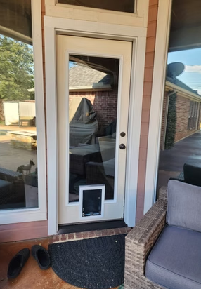 Exterior door with built-in pet door; cream-colored frame, glass pane, and black mat.