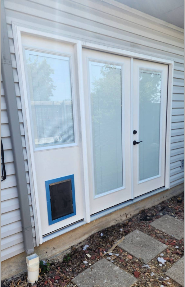 Exterior view of a white door with frosted glass panels and a pet door. A window and a stone path are visible.