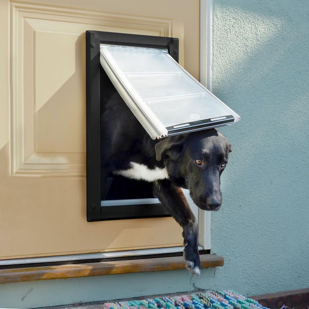 Black dog exiting a pet door on a beige door. Blue exterior wall background.