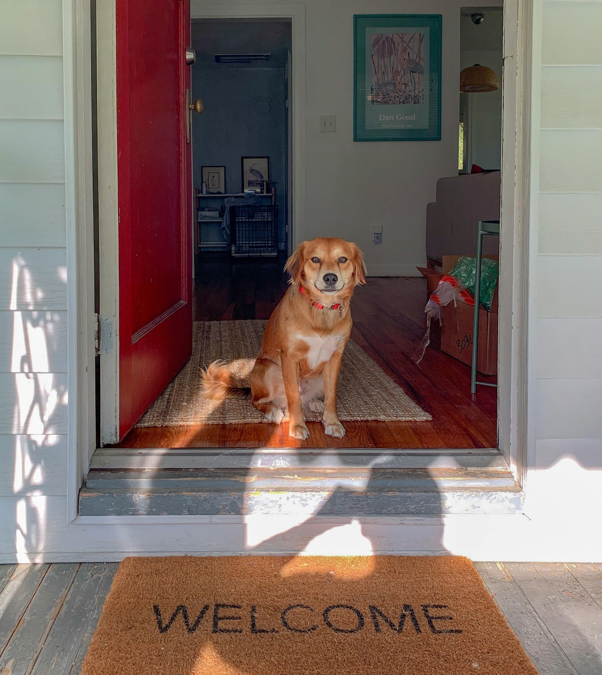 White door with window panes and a dog door, bronze handle and hardware.