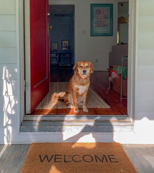 White door with window panes and a dog door, bronze handle and hardware.