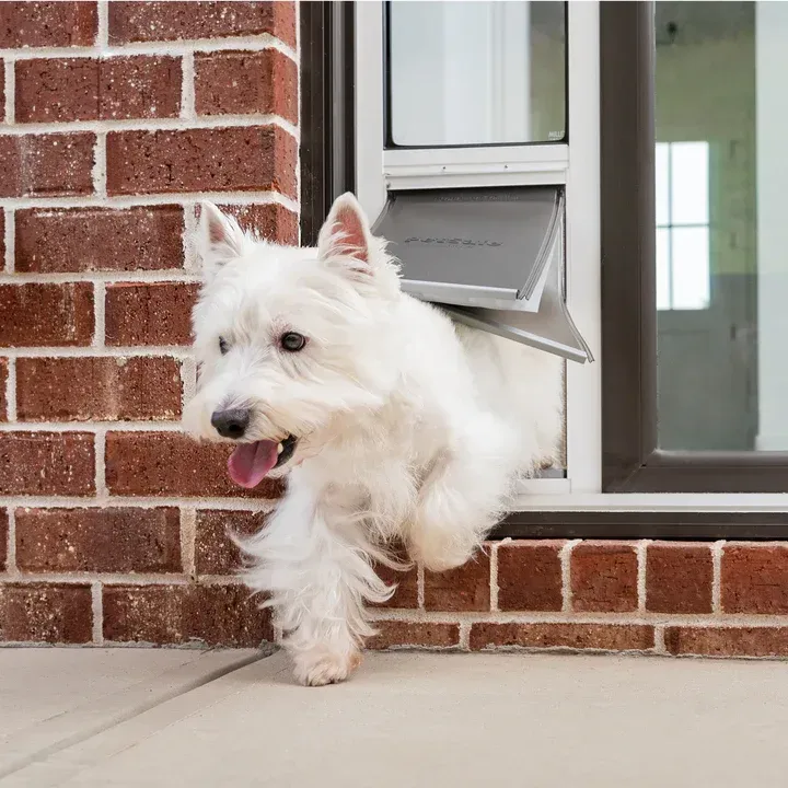 White dog exiting a pet door in a window, brick wall in the background.