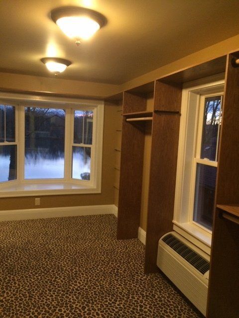 An empty room with a leopard print carpet and a window