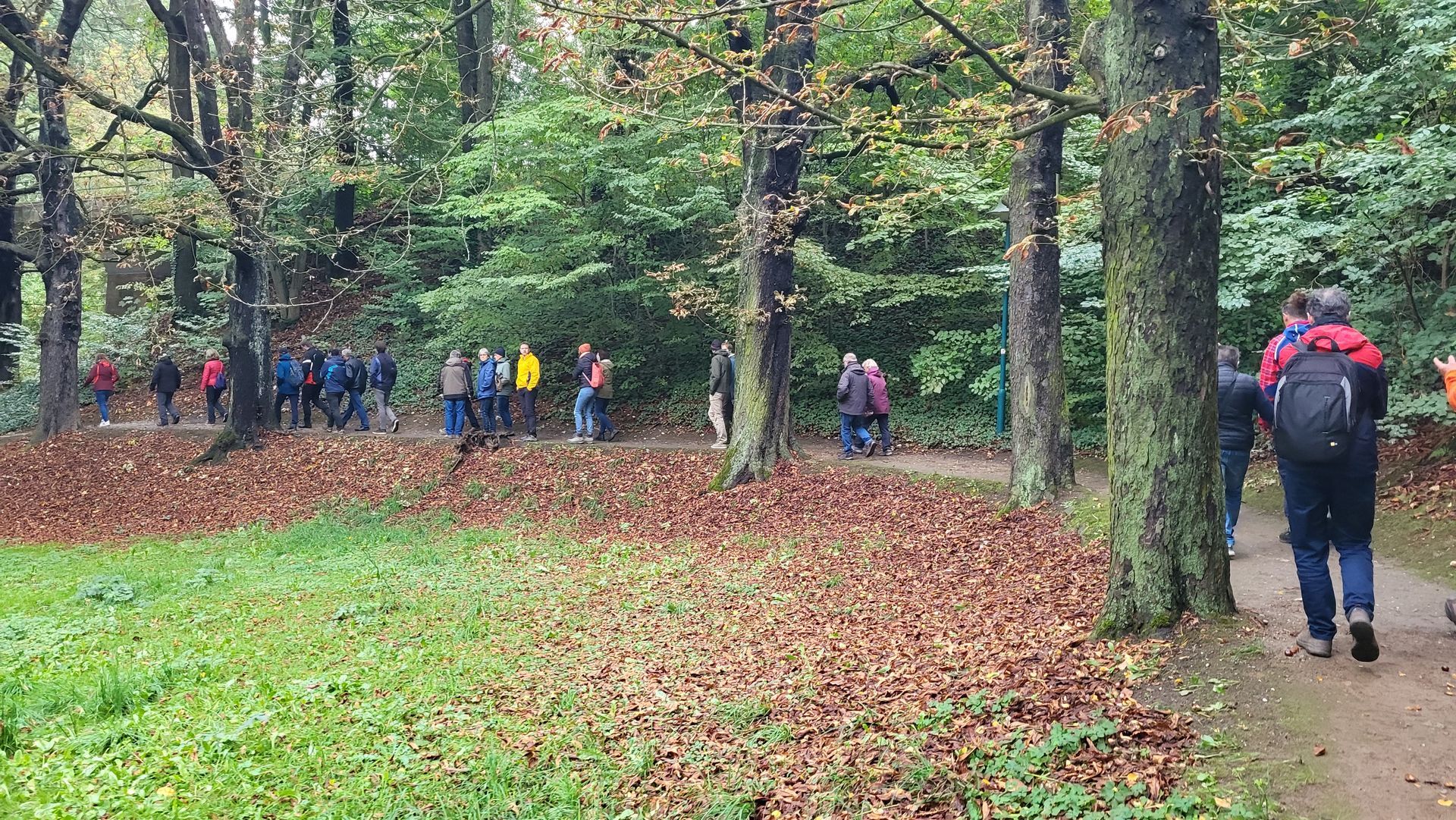Wanderer im Wald auf Pfad