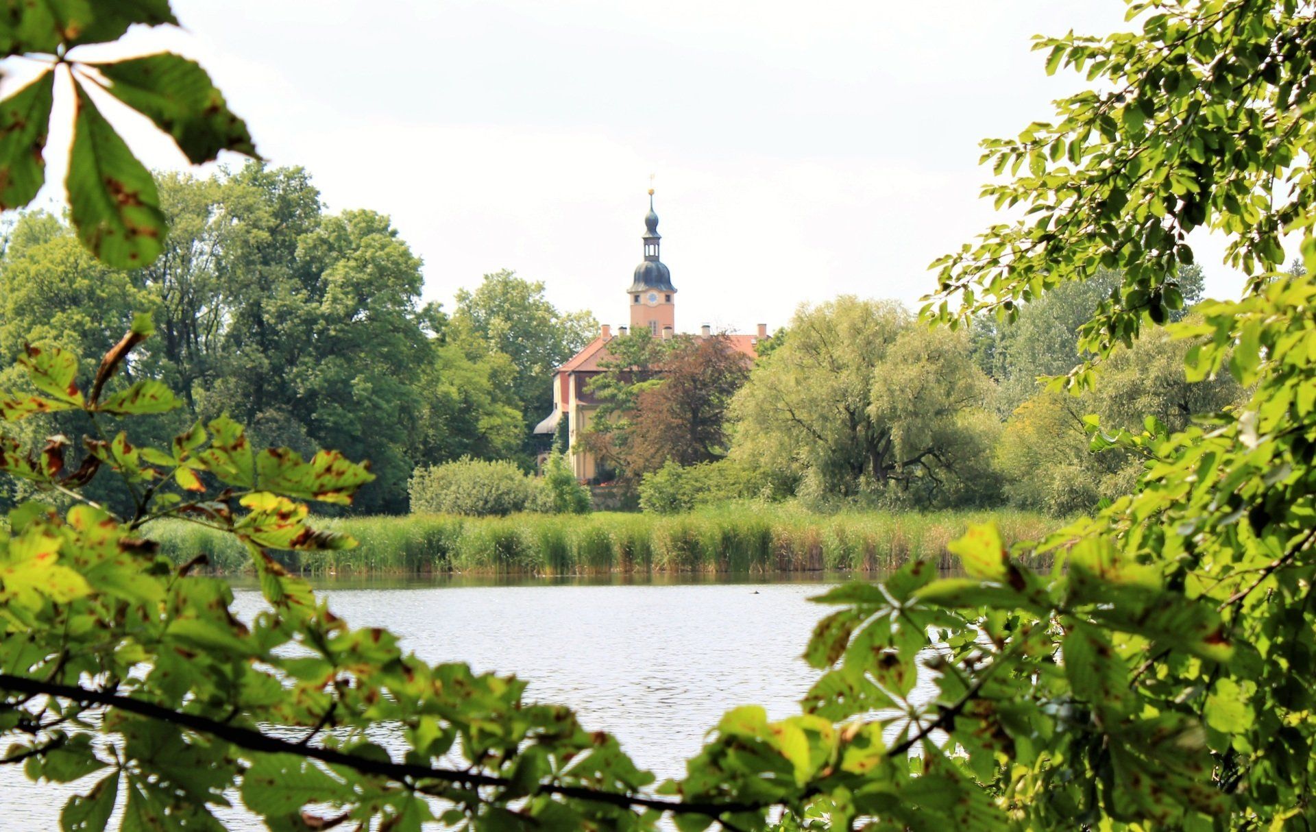 Blick auf Schloss Machern im Hintergrund, Schlossteich im Park im Vordergrund