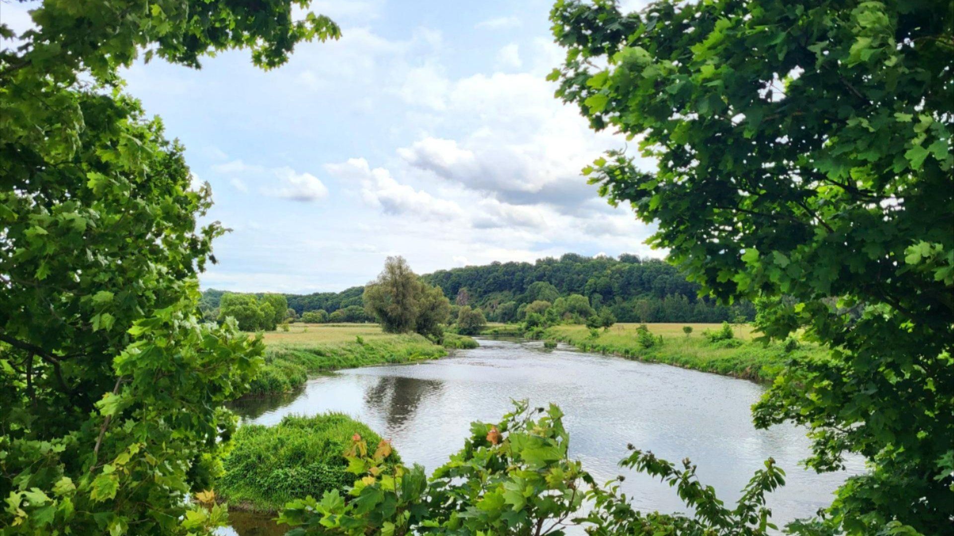 Blick auf die Mulde bei Tanndorf