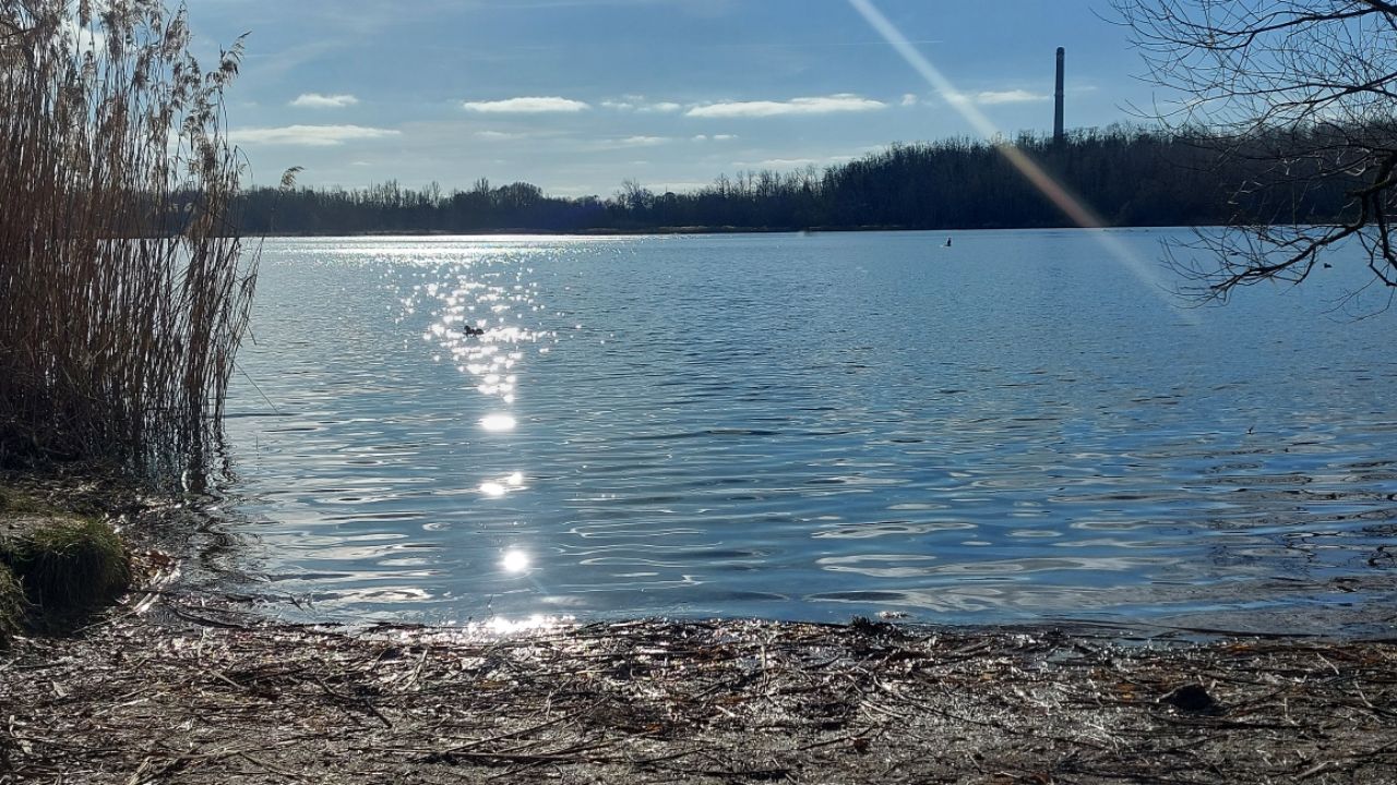 Frühlingssonne spiegelt sich im Wasser am Kulkwitzer See