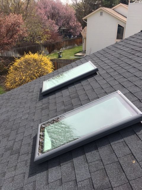Two rectangular skylights installed on a dark gray shingled roof, overlooking a yard with flowering trees and a house.