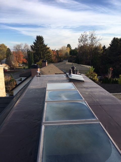 A low-angle view looking down a flat roof featuring a series of rectangular skylights against an autumn landscape.