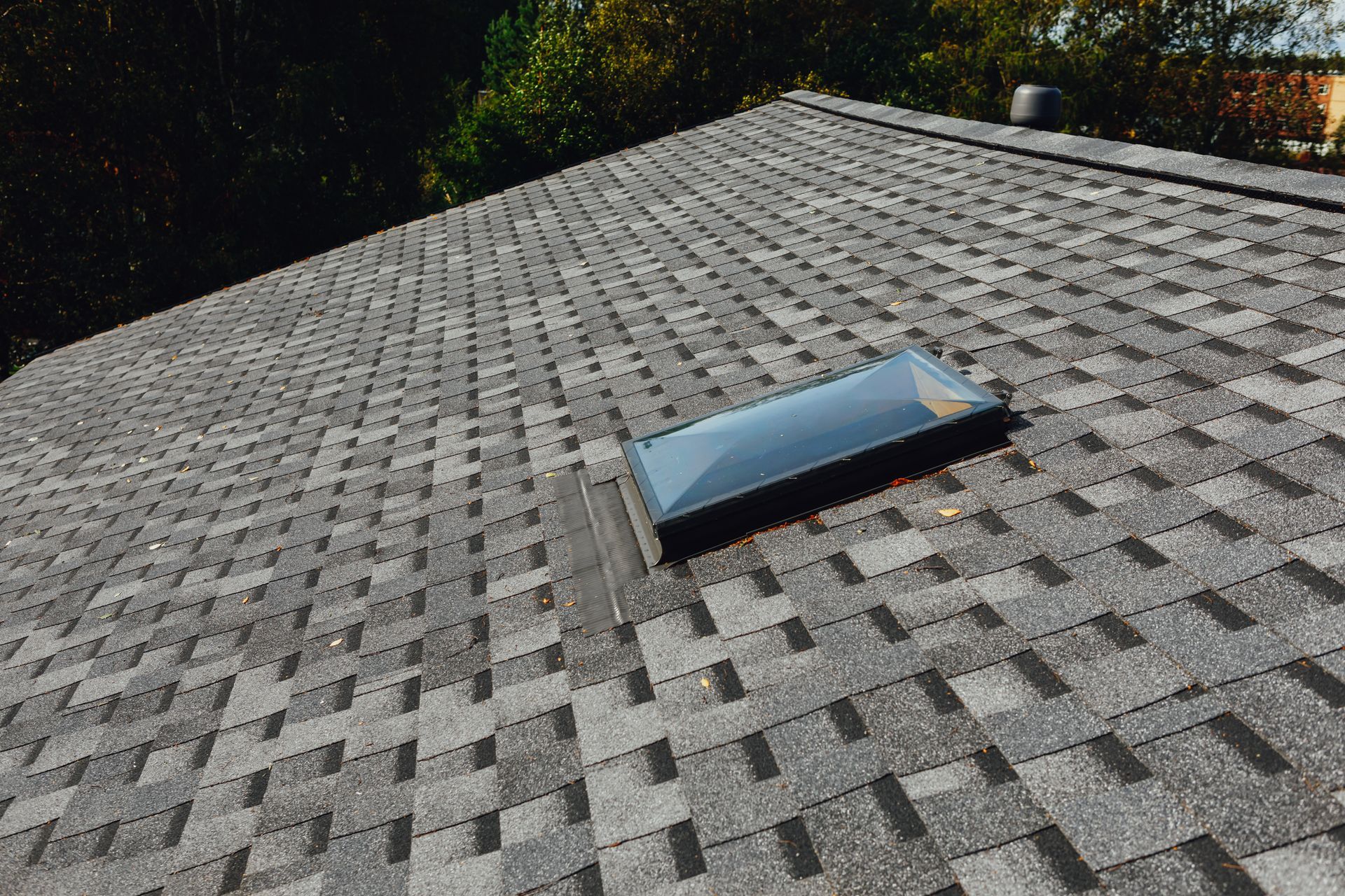 Gray asphalt shingle roof with a skylight. Sunlight casts shadows. Trees in the background.