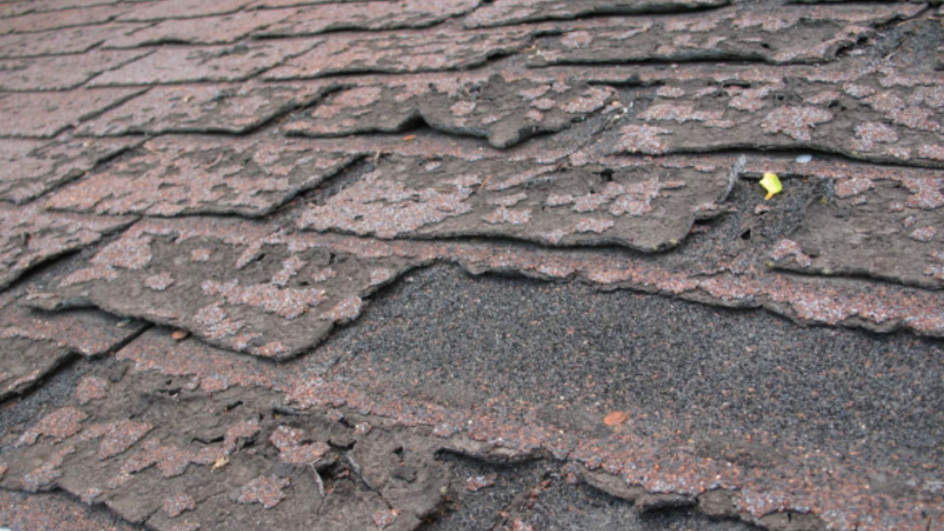 Damaged asphalt shingle roof with worn, missing granules, showing exposed underlayment.