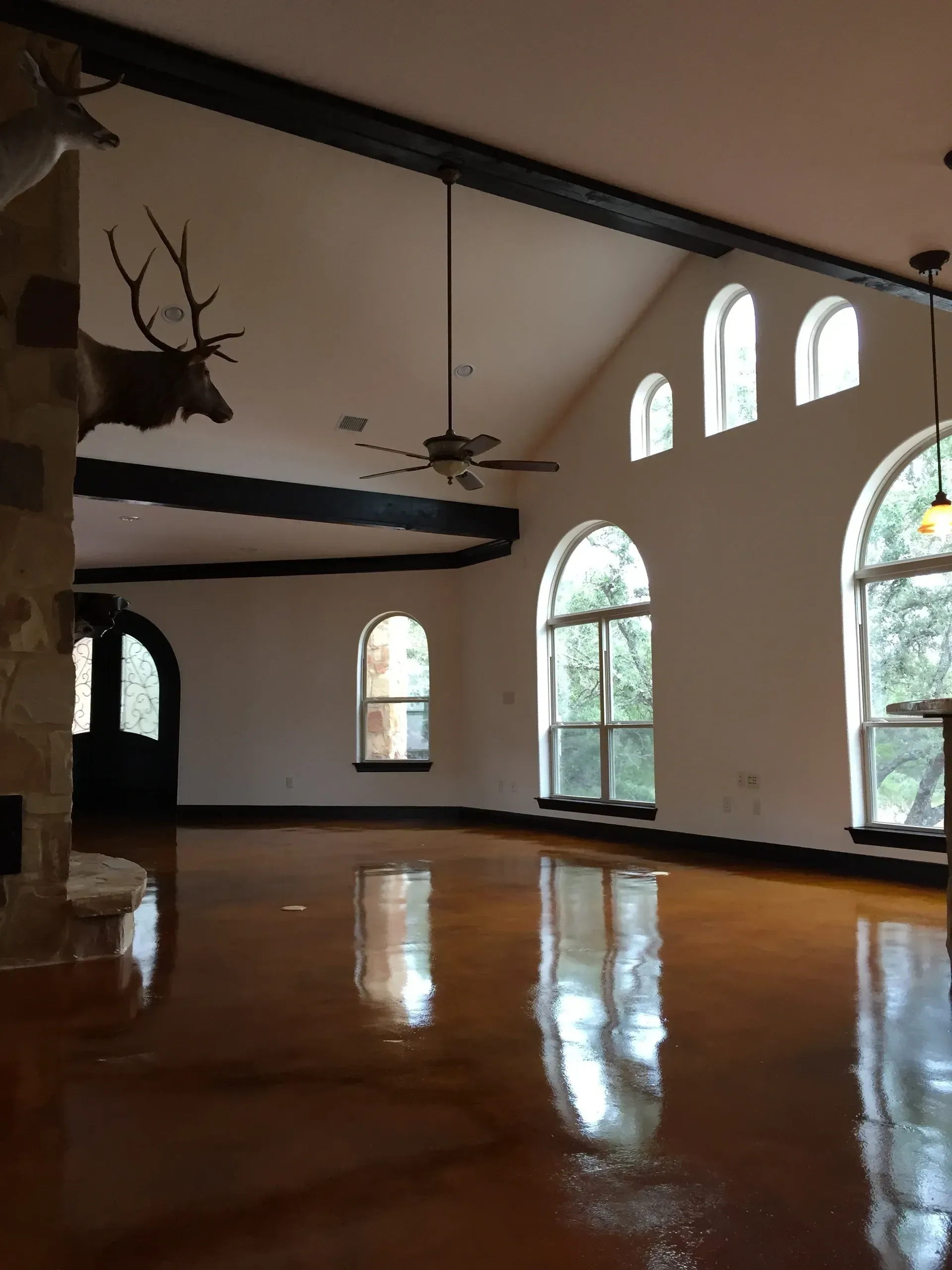 Spacious room with high ceilings, arched windows, and brown glossy floor; elk head mounted on the wall.