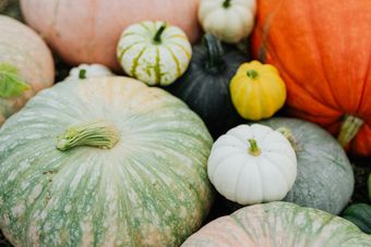 A collection of various pumpkins, including green, white, orange, and yellow, gathered together.