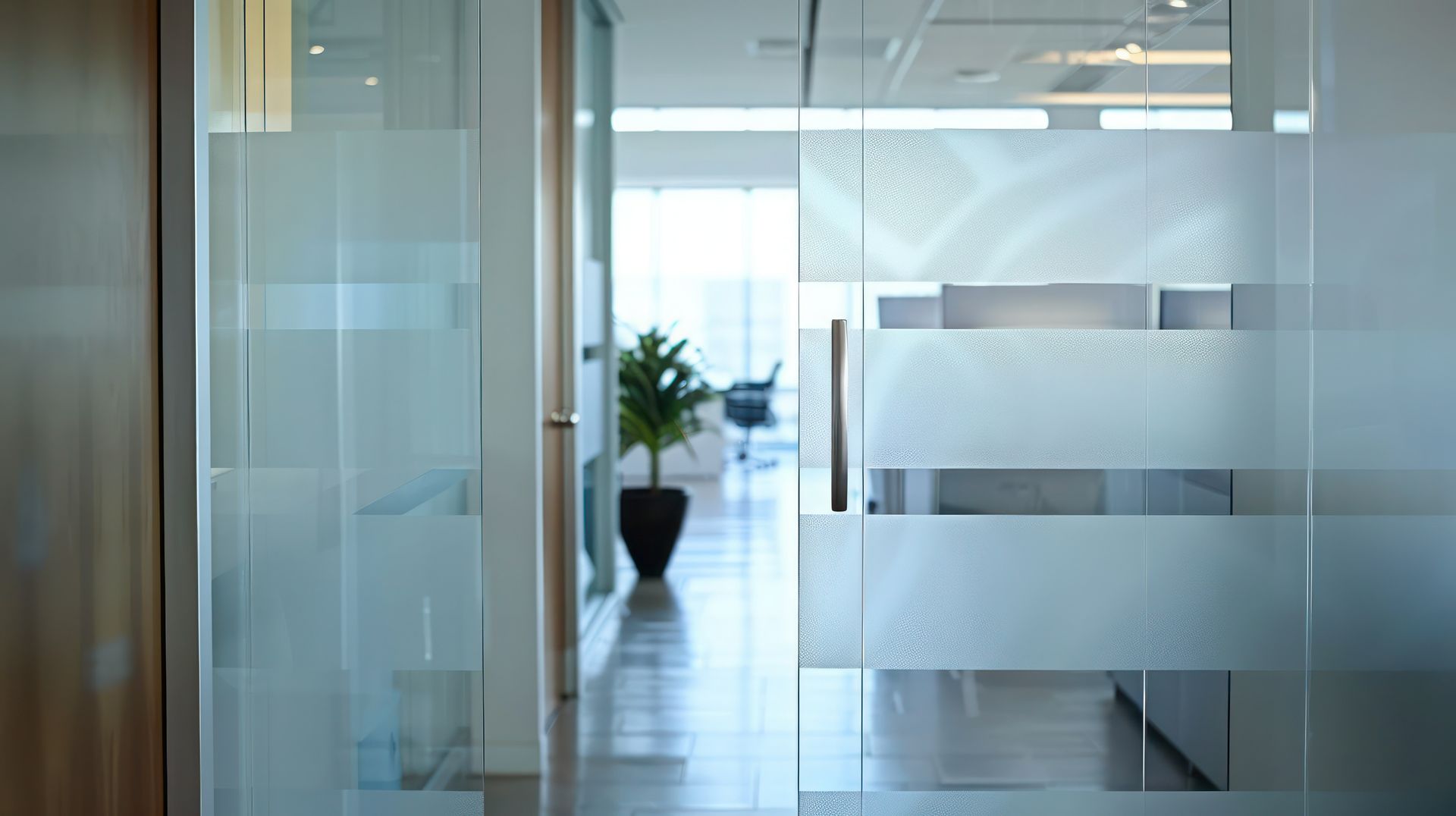 decorative window film near me