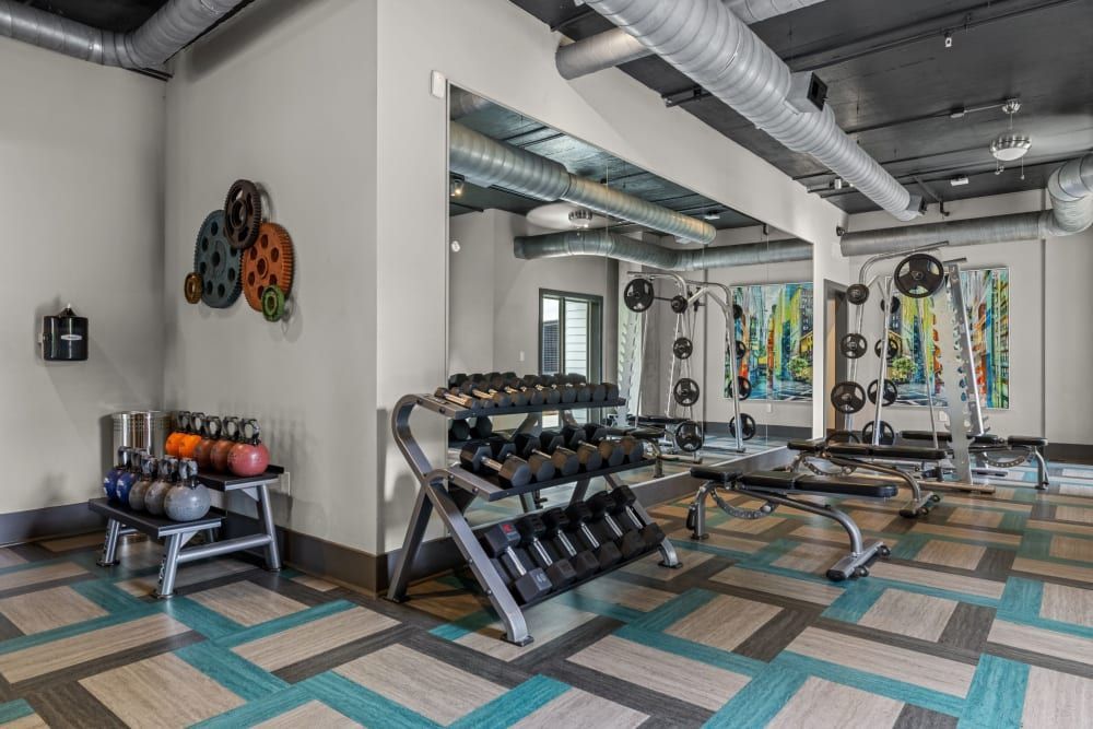 Apartment gym with a lot of dumbbells and a painting on the wall at Skyline West in Atlanta, GA.
