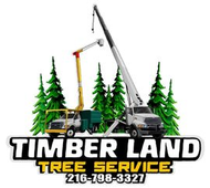 Timberland Tree Service