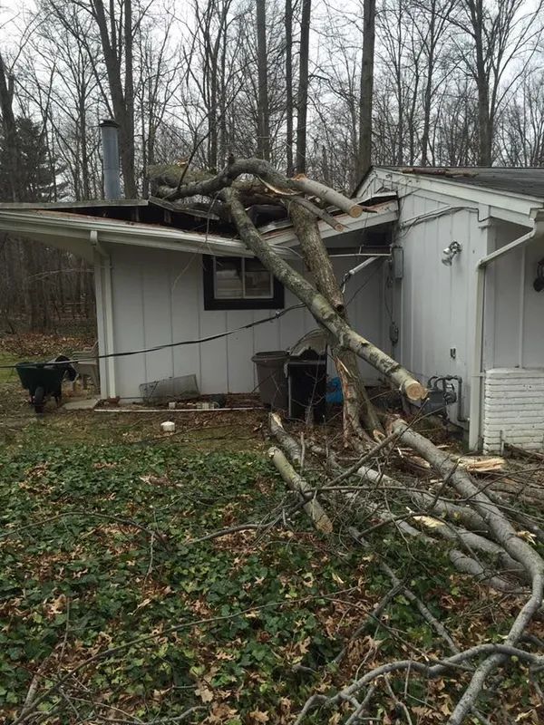 A tree has fallen on the roof of a house.