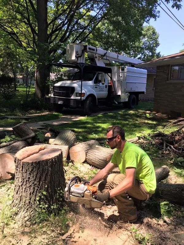 A man is cutting a tree stump with a chainsaw.