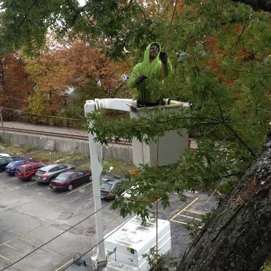 A man is sitting in a bucket on top of a tree.