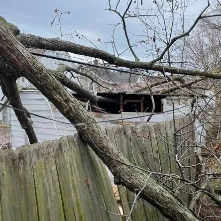 A tree has fallen on a wooden fence in front of a house.