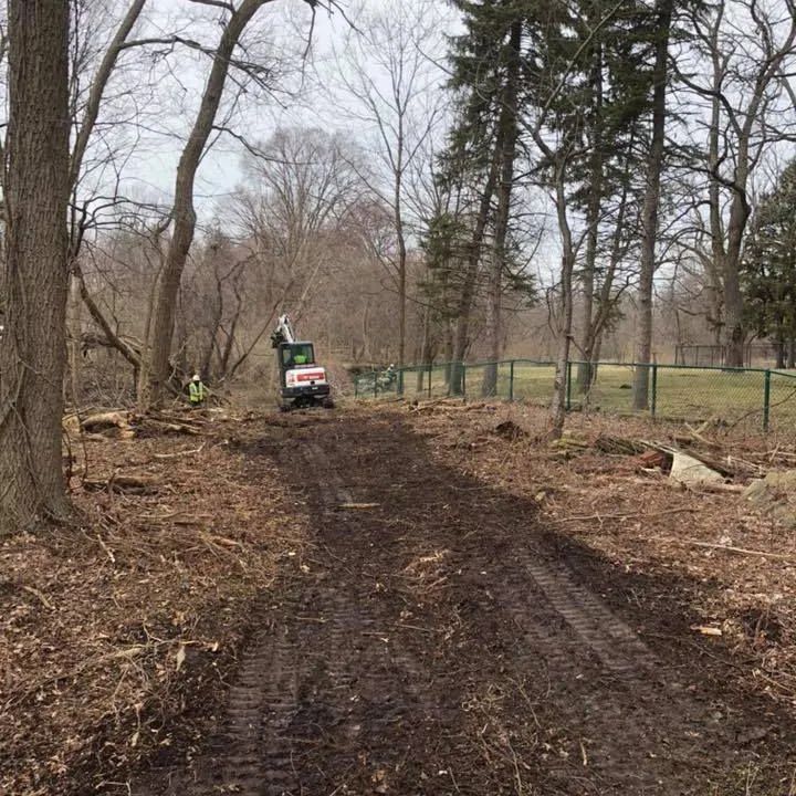 A bulldozer is driving down a dirt road in the woods.