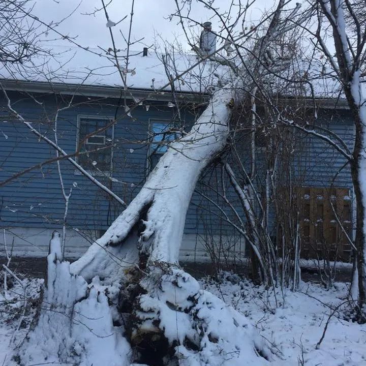 A tree stump in the snow in front of a blue house